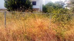Παράταση έως τις 22 Ιουνίου για τα ακαθάριστα οικόπεδα