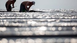 ΓΣΕΕ για κακοκαιρία ERMINIO: Ανάγκη εφαρμογής ρυθμιστικού πλαισίου για την υγεία και ασφάλεια εργαζομένων