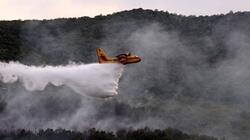  Σε "κόκκινο" συναγερμό για πυρκαγιές η Κρήτη την Παρασκευή 28/8 - Κατηγορία 5 σε Ρέθυμνο, Ηράκλειο και Λασίθι