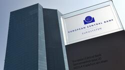 ΕΚΤ: Τα νοικοκυριά της Ευρωζώνης περιορίζουν τις δαπάνες 