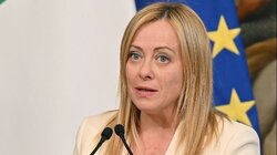 meloni