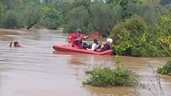 apegklovismos lakonia