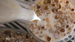 δημητριακά