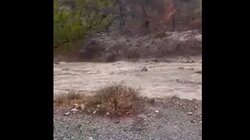 Φέρμα, Βροχή, Ζημιές