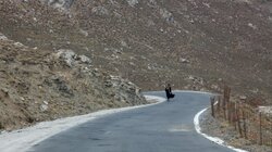 Αέναες Μορφές Αστερουσίων