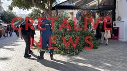 Δέντρο λοτζια