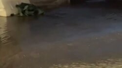 λύματα χανιά