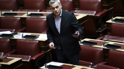 Χάρης Μαμουλάκης, Βουλή