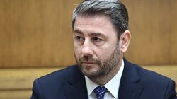 Νίκος Ανδρουλάκης, Πορτρέτο