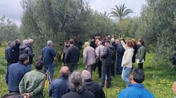 ημερίδα -ελαιόλαδο