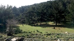 καθαρα-ορειβατικός-αγίου-νικολάου