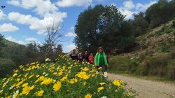 Μαργαρίτες, Εξόρμηση