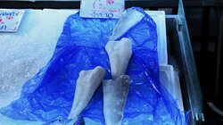 Μπακαλιάρος