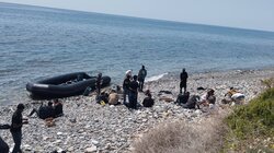 Μετανάστες, Άρβη