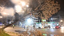 Κακοκαιρία, Αθήνα, Πτώση Δέντρου