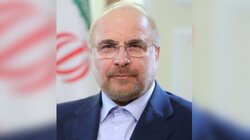 Ιράν, Μπαγκέρ Γκαλιμπάφ, Ιρανικό Κοινοβούλιο