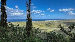 Ξεχωριστή πρωτομαγιάτικη εξόρμηση με τους "Δρόμους Ζωής" 