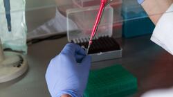 Εργαστήριο, Μικροβιολόγος