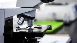 μικροσκόπιο