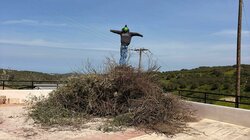 Φουνάρα Σγουροκεφάλι