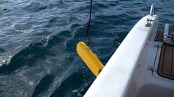 ΙΤΕ, Ημερίδα, κλιματική κρίση 