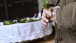 Κυριακή των Βαΐων: Τι γιορτάζουμε και γιατί τρώμε ψάρι 