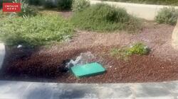 Νερό, Πλατεία Ελευθερίας 