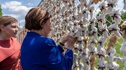 παιδια-ουκρανια-αρκουδακια