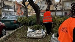 Εργασίες πρασίνου, Ηράκλειο