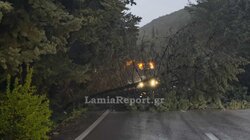 Έκλεισε από πτώση δέντρων η εθνική οδό Θερμοπυλών - Ιτέας