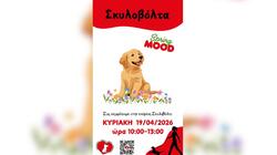 Σκυλοβόλτα, Εθελοντές Κυνοκομείου Ηρακλείου