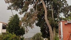 Δρόμος, Σοκαράς, Δήμος Γόρτυνας