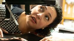 Συμβολαιογράφος, Παράσταση