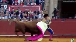 Ισπανία: Τρομακτικός τραυματισμός του «βασιλιά των ταυρομάχων» - Βίντεο 