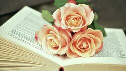 Βιβλίο, Τριαντάφυλλα