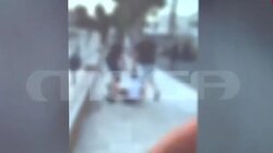 ξυλοδαρμος κυκλάδες