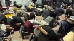 global sumud 
