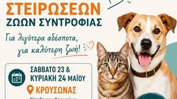Μαλεβίζι: Τετραήμερη δράση στειρώσεων ζώων συντροφιάς σε Κρουσώνα και Πολύδροσο