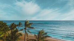 pexels hawai