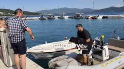 Γλύφα Φθιώτιδας: Βγήκαν με φουσκωτό στα ανοιχτά για να σώσουν σκύλο - Βίντεο