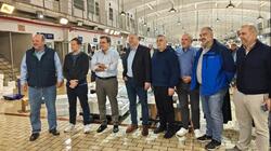 Σχοινάς Ιχθυόσκαλα