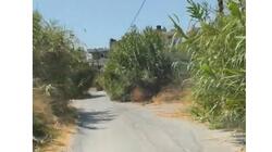 Αλικαρνασσός, Καλάμια