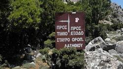 Δήμος Οροπεδίου Λασιθίου, Έργα 