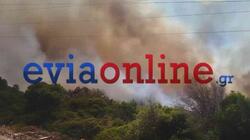 Πυρκαγιά στον Αλμυροπόταμο Ευβοίας: Ενισχύθηκαν οι πυροσβεστικές δυνάμεις