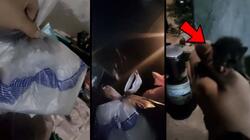 Γάτα, Κάδος απορριμμάτων 