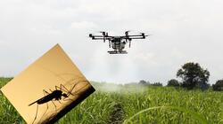 Κρήτη: Με drones και δορυφορικό εντοπισμό... ξεκινά ο "πόλεμος" με τα κουνούπια 