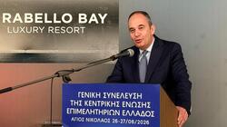 Γιάννης Πλακιωτάκης, Ένωση επιμελητηρίων Ελλάδας