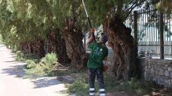 Ηράκλειο: Συνεχίζονται οι εργασίες συντήρησης και καλλωπισμού του πρασίνου