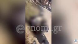 Εύβοια, Μαθήτριες, Συμπλοκή