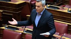 Χάρης Μαμουλάκης, Βουλή